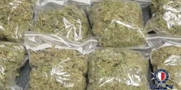 droga sequestro marijuana cannabis