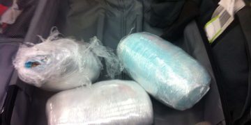 sequestro droga su passeggero proveniente ciampino