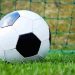 calcio pallone sport