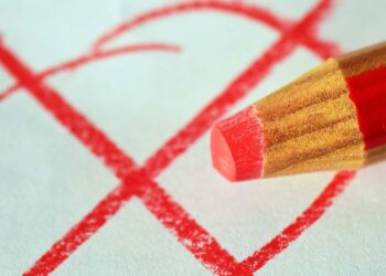 elezioni voto scheda elettorale croce