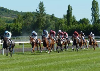 corsa cavalli ippodromo fantino cavallo sport-min