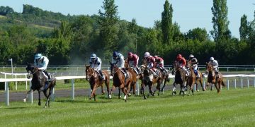 corsa cavalli ippodromo fantino cavallo sport-min
