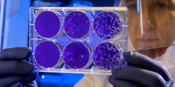 cellule ricerca laboratorio sviluppo staminali scienza