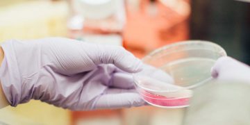 ricerca scienza scienziati cellule staminali