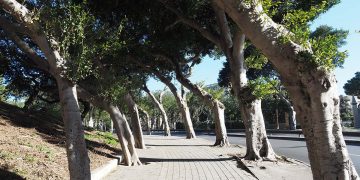 Ambiente: esiste il piacere dell’aria pura a Malta?