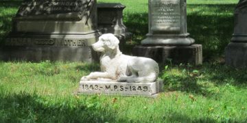 Confermata a Malta l’apertura del cimitero per animali