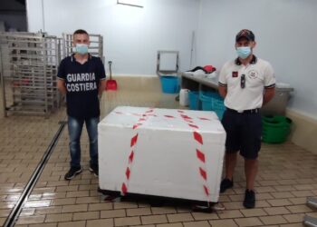 Pozzallo: sequestrato un quintale di prodotti ittici provenienti da Malta