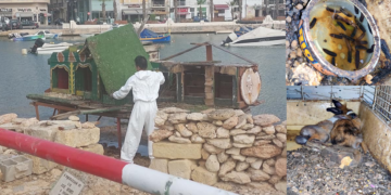 Demolito il villaggio delle anatre a Manoel Island. Per molti anni è stato punto di attrazione per turisti e residenti