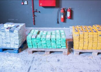 Droga, sequestro record: 800 chili di cocaina purissima nascosta tra le banane al porto di Birzebbugia