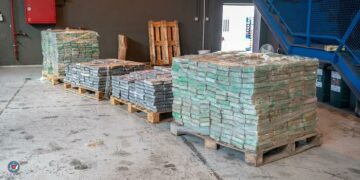 Cocaina nascosta tra le banane. Sequestro record da 1,5 tonnellate al Freeport