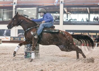 Oltre duecento cavalli sbarcheranno a Malta per la celebre gara internazionale “Golden Buckle Barrel Race”