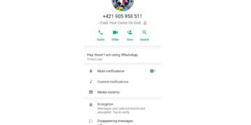 Messaggi spam su WhatsApp, il sindacato di Polizia lancia l’allerta ai cittadini
