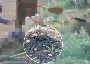 Incivili prendono di mira sito Natura 2000 di Ghar Lapsi, scattano le denunce
