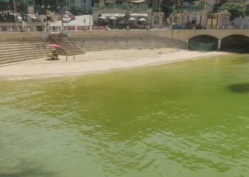 A Balluta Bay il mare si tinge di verde: avviate indagini per determinarne le cause