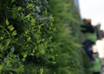 Giardino verticale in stato di degrado lungo il bypass Marsa-Hamrun; avviate azioni legali contro l’appaltatore