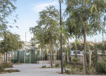 Malta diventa più verde, nel 2024 piantati ottomila nuovi alberi