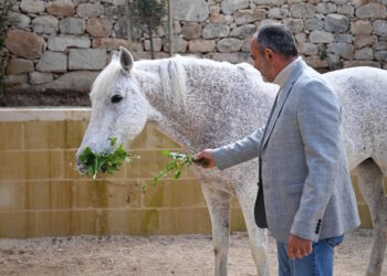 Al St. Vincent De Paul nasce “Razzett l-Hena”, la nuova fattoria terapeutica in aiuto agli anziani