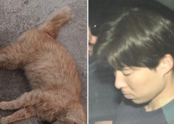 Satoshi Okamura