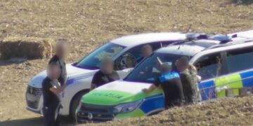 Carcassa di cavallo in decomposizione rinvenuta a Gozo: incriminato un uomo