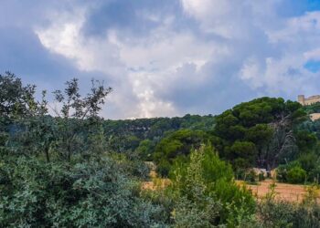 Progetto europeo Medmaquis: Malta e Sicilia insieme per tutelare la macchia mediterranea