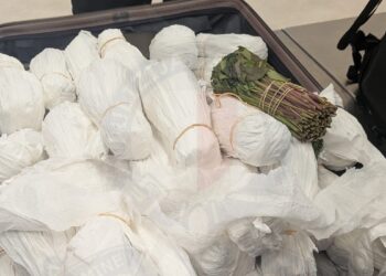 Fermato in aeroporto con un carico di khat in valigia: 51enne in custodia cautelare