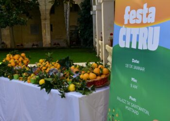 Torna la Festa Ċitru: il 18 gennaio il San Anton Palace apre le sue sale al pubblico