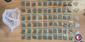 cannabis sintetica