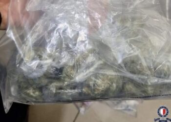 cannabis