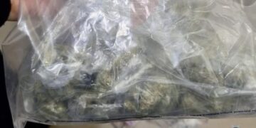 cannabis