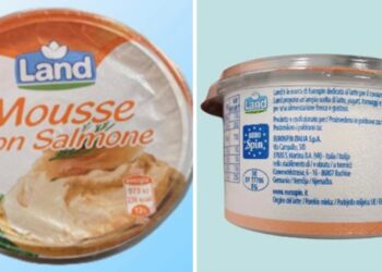 Rischio botulino nella mousse al salmone, scatta il richiamo