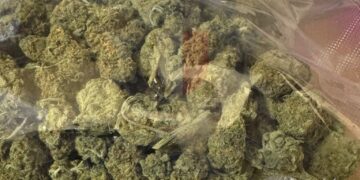 Pattuglia lo ferma per un controllo, trovato con droga: arrestato