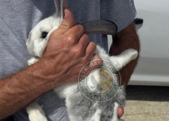 Naxxar, rischio crollo in un cantiere: residenti evacuati