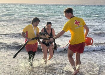 Tartaruga ferita salvata tra le onde a Little Armier: era impigliata in una lenza
