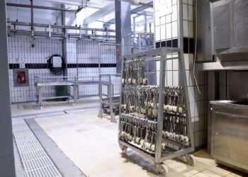 Nuovi impianti al macello pubblico: lavorazioni più rapide e riduzione degli sprechi
