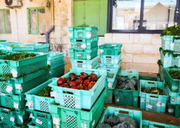 Un mercato agricolo aperto tutto l’anno: a Ta’ Qali si scommette sulla filiera corta
