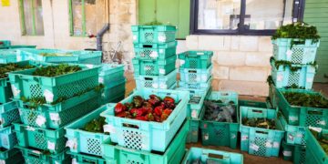 Un mercato agricolo aperto tutto l’anno: a Ta’ Qali si scommette sulla filiera corta