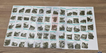 Blitz antidroga a Ghaxaq, arrestato un giovane accusato di spaccio