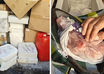 Dall’Albania a Malta con un carico di alimenti mal conservati e non etichettati: scatta il sequestro