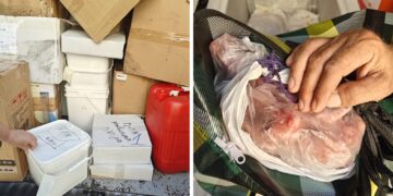 Dall’Albania a Malta con un carico di alimenti mal conservati e non etichettati: scatta il sequestro